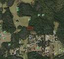  Polk City - Photo 3