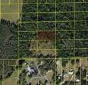  Polk City - Photo 2