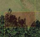  Polk City - Photo 1