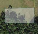  Polk City - Photo 2