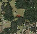  Polk City - Photo 4
