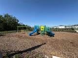 3133 Skyline Loop - Photo 55