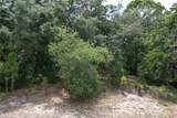 1008 Wildflower Street - Photo 1