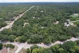 1008 Wildflower Street - Photo 4