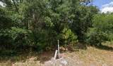 1008 Wildflower Street - Photo 7