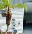 13338 Orange Blossom Street - Photo 3