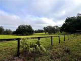  Micro Racetrack Road - Photo 4