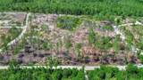  Marshview Drive - Photo 1