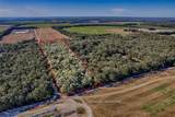 300 Us Highway 129 - Photo 38