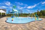 6799 Sarus Crane Point - Photo 29