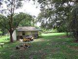 5500 Lake Lizzie Drive - Photo 13
