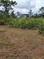  Holopaw Groves Road - Photo 5