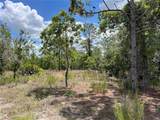 3309 Hampshire Boulevard - Photo 7