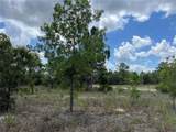 3309 Hampshire Boulevard - Photo 8