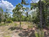 3323 Hampshire Boulevard - Photo 7