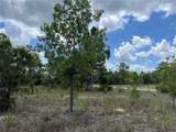 3323 Hampshire Boulevard - Photo 8