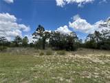 3323 Hampshire Boulevard - Photo 9