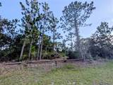 609 Indian Lake Drive - Photo 3
