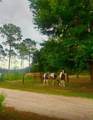 3754 Isle Royal Place - Photo 44