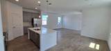 1849 Horsetail Drive - Photo 40