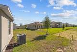 4560 Ranunculus Street - Photo 27
