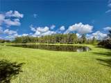 10805 Wyne Tree Court - Photo 36