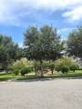 15717 Kinnow Mandarin Lane - Photo 52