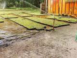 8751 Ridge Rd - Photo 4