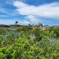 1707 17TH Street - Photo 8