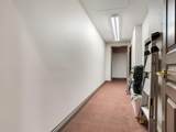 3507 Bayshore Boulevard - Photo 51