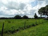 10201 Timmons Road - Photo 3