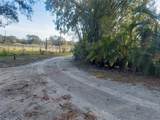 453 Dr Martin Luther King Jr Boulevard - Photo 7