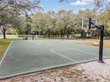 34841 Double Eagle Court - Photo 48