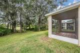 34841 Double Eagle Court - Photo 5
