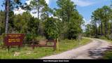  New Jerusalem Road - Photo 100