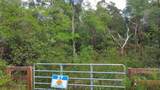  New Jerusalem Road - Photo 34