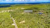  New Jerusalem Road - Photo 46