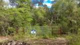 New Jerusalem Road - Photo 7