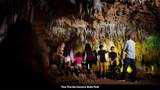  New Jerusalem Road - Photo 91