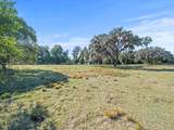  Boy Scout Road - Photo 14