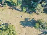  Boy Scout Road - Photo 18