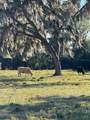  Boy Scout Road - Photo 6