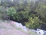 10020 Linda Street - Photo 33