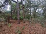 9785 Watermelon Lane - Photo 1