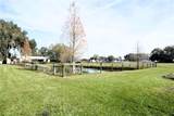2407 Medulla Road - Photo 10