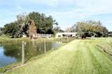2407 Medulla Road - Photo 13