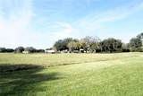 2407 Medulla Road - Photo 6