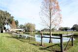 2407 Medulla Road - Photo 8
