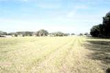 2407 Medulla Road - Photo 9
