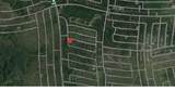8746 Robbia Street - Photo 2
